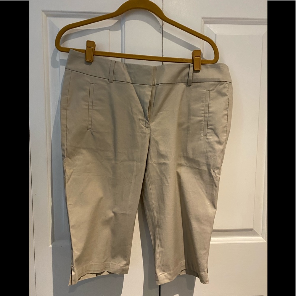 Ann Taylor 12P Long   Shorts